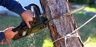 Best Utility Line Clearance  in West Des Moines, IA