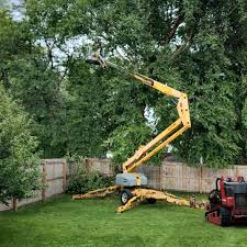 Best Lawn Pest Prevention  in West Des Moines, IA