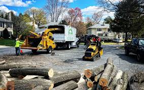 Best Lawn Renovation and Restoration  in West Des Moines, IA