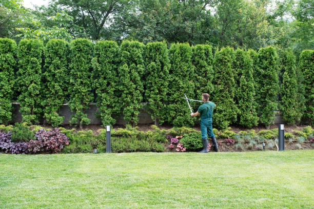 Best Lawn Grading and Leveling  in West Des Moines, IA