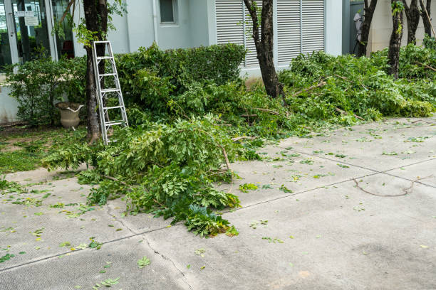 Best Lawn Irrigation Installation and Maintenance  in West Des Moines, IA