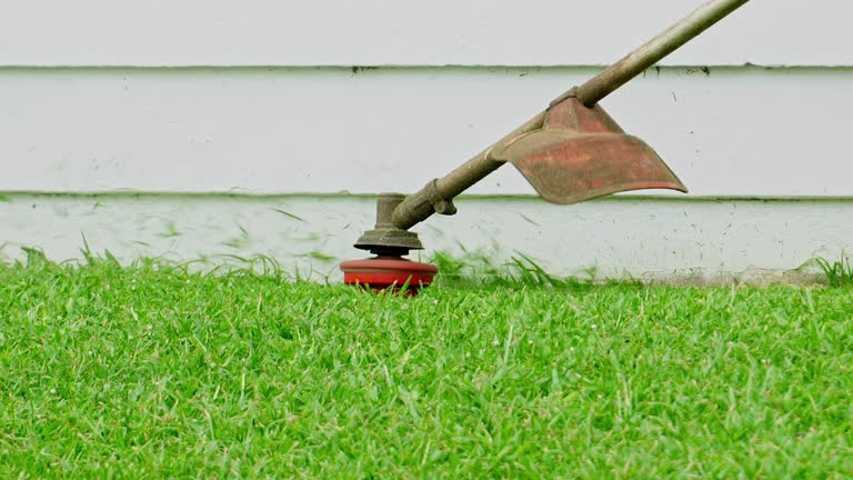 Best Lawn Maintenance Plans  in West Des Moines, IA