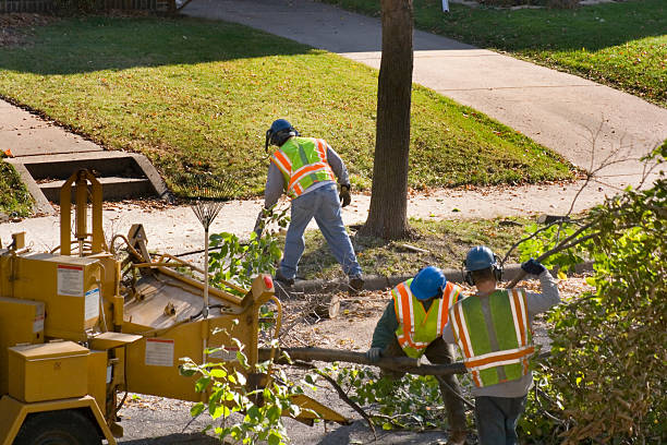 Best Landscape Design and Installation  in West Des Moines, IA
