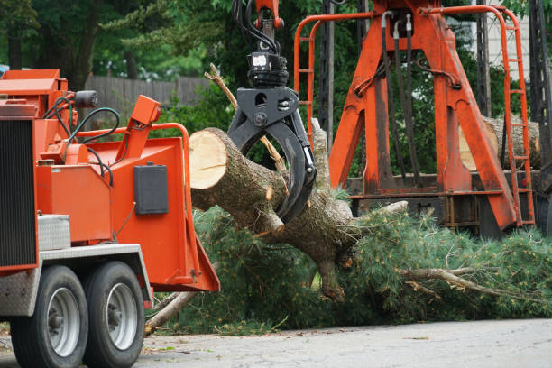 Seasonal Cleanup (Spring/Fall) in West Des Moines, IA