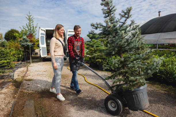 Best Sod Installation  in West Des Moines, IA